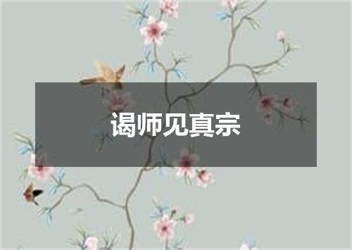 谒师见真宗