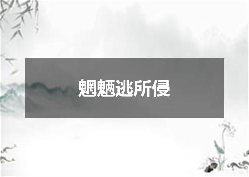 魍魉逃所侵