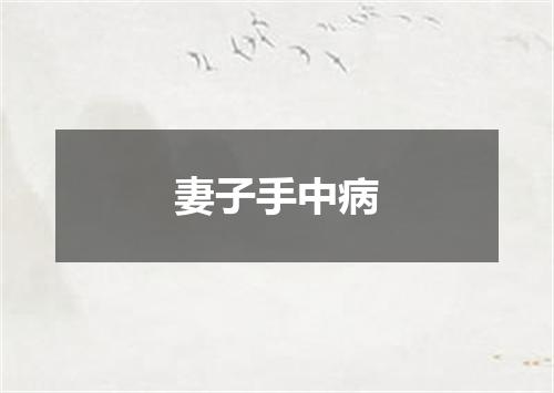 妻子手中病