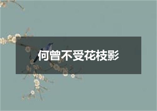 何曾不受花枝影