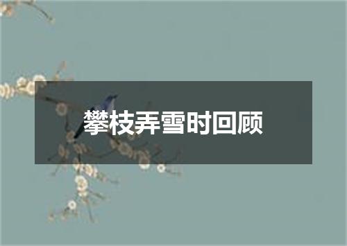 攀枝弄雪时回顾