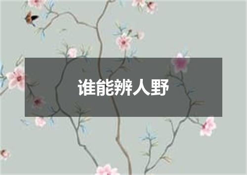 谁能辨人野