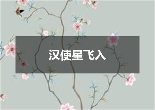 汉使星飞入