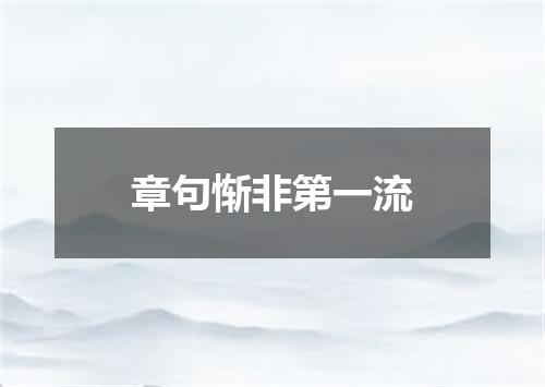 章句惭非第一流
