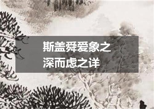 斯盖舜爱象之深而虑之详