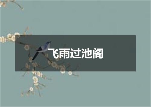飞雨过池阁