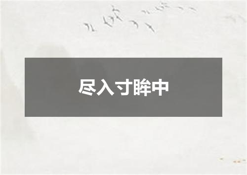 尽入寸眸中