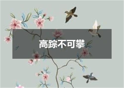 高踪不可攀