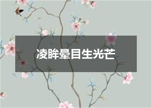 凌眸晕目生光芒