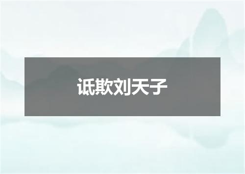 诋欺刘天子