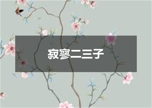 寂寥二三子