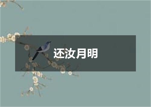 还汝月明