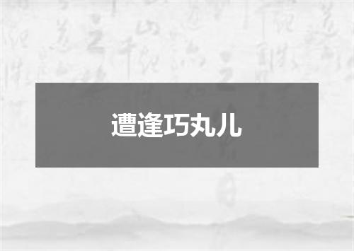遭逢巧丸儿