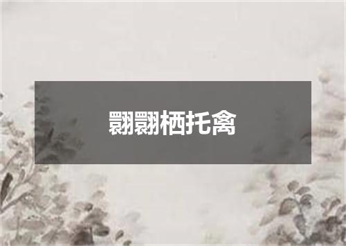 翾翾栖托禽