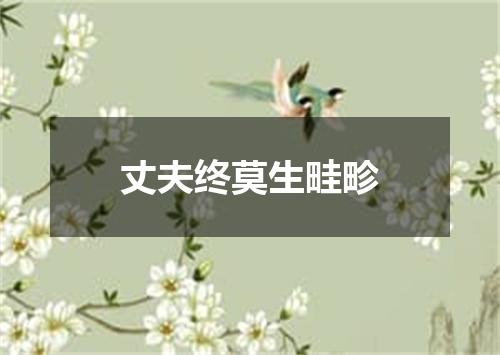 丈夫终莫生畦畛