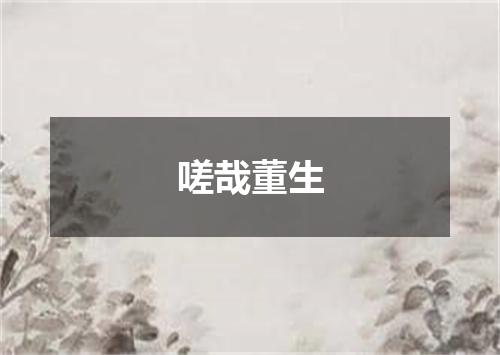 嗟哉董生