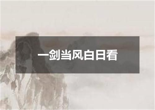 一剑当风白日看