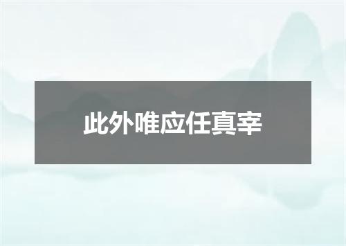 此外唯应任真宰