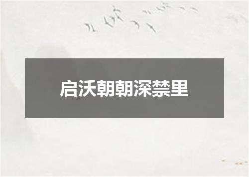 启沃朝朝深禁里