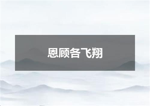 恩顾各飞翔