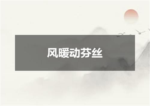 风暖动芬丝