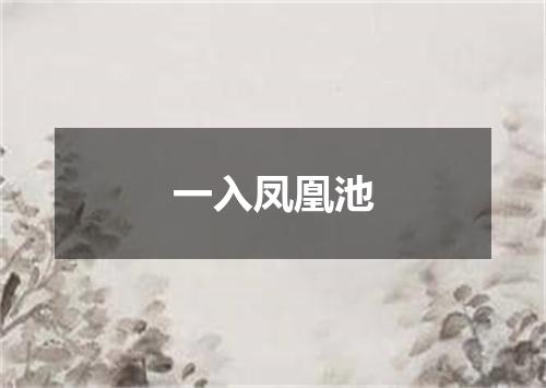 一入凤凰池