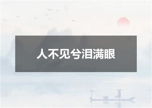 人不见兮泪满眼