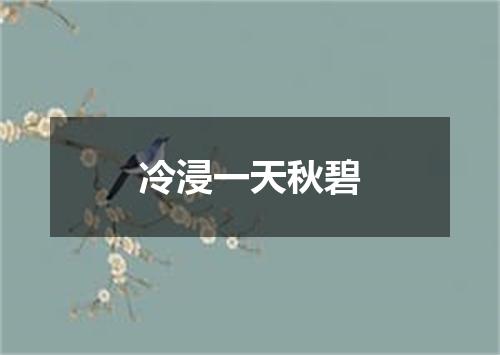 冷浸一天秋碧