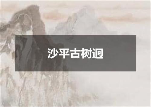 沙平古树迥