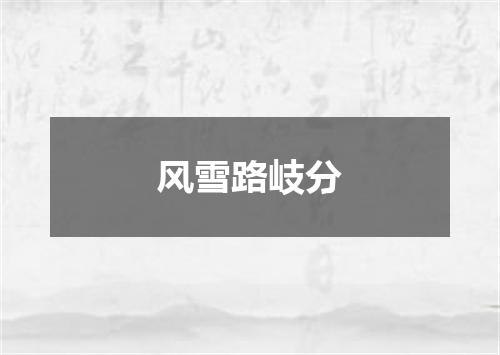 风雪路岐分
