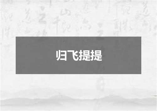 归飞提提