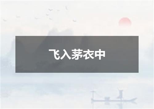 飞入茅衣中