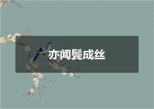 亦闻鬓成丝