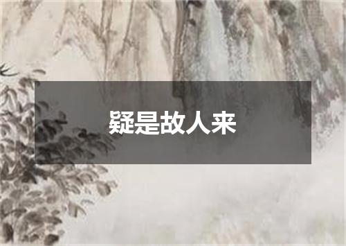 疑是故人来
