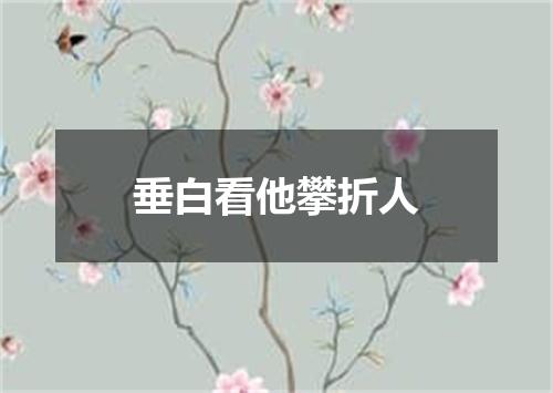 垂白看他攀折人