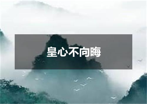 皇心不向晦