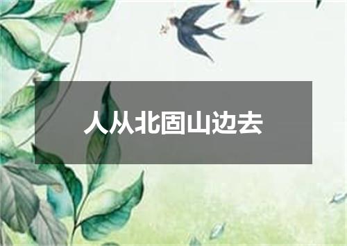 人从北固山边去