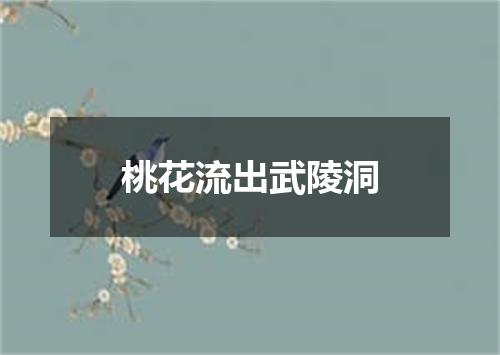 桃花流出武陵洞