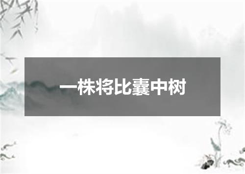一株将比囊中树