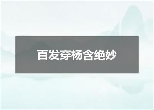 百发穿杨含绝妙