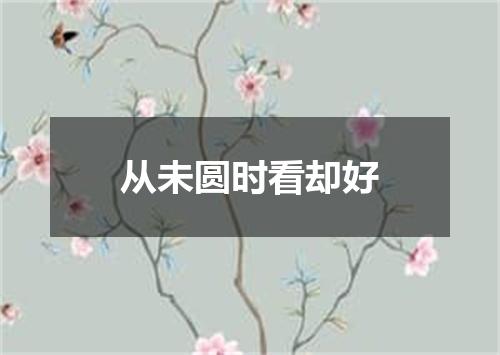 从未圆时看却好