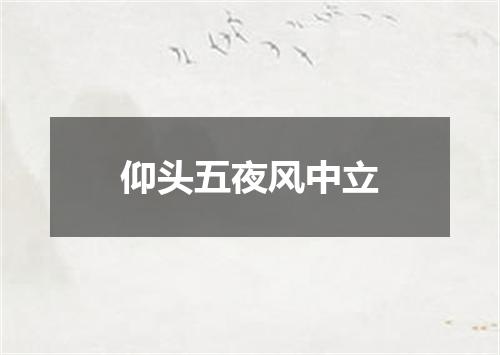 仰头五夜风中立