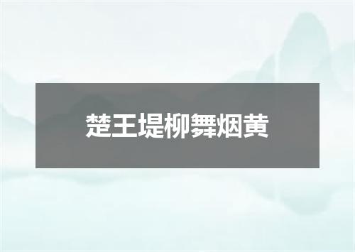 楚王堤柳舞烟黄