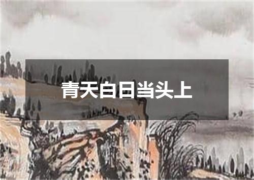 青天白日当头上