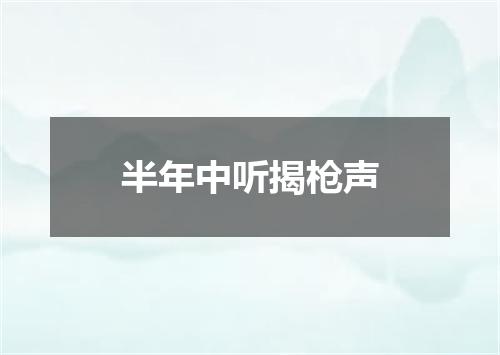半年中听揭枪声