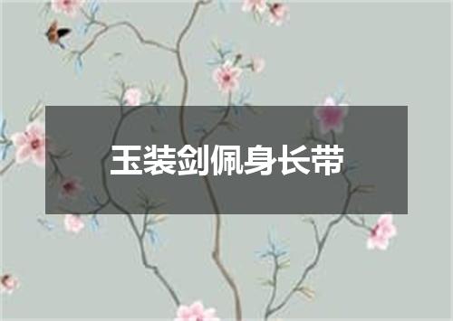 玉装剑佩身长带
