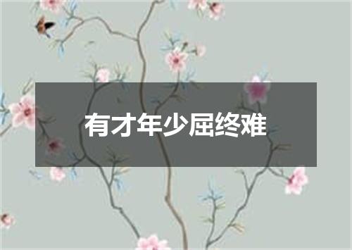 有才年少屈终难