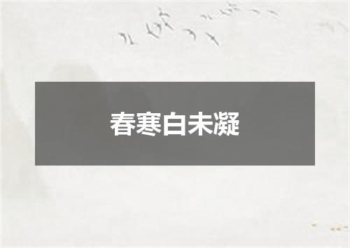 春寒白未凝
