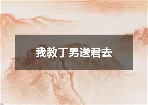 我教丁男送君去