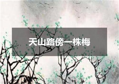 天山路傍一株梅